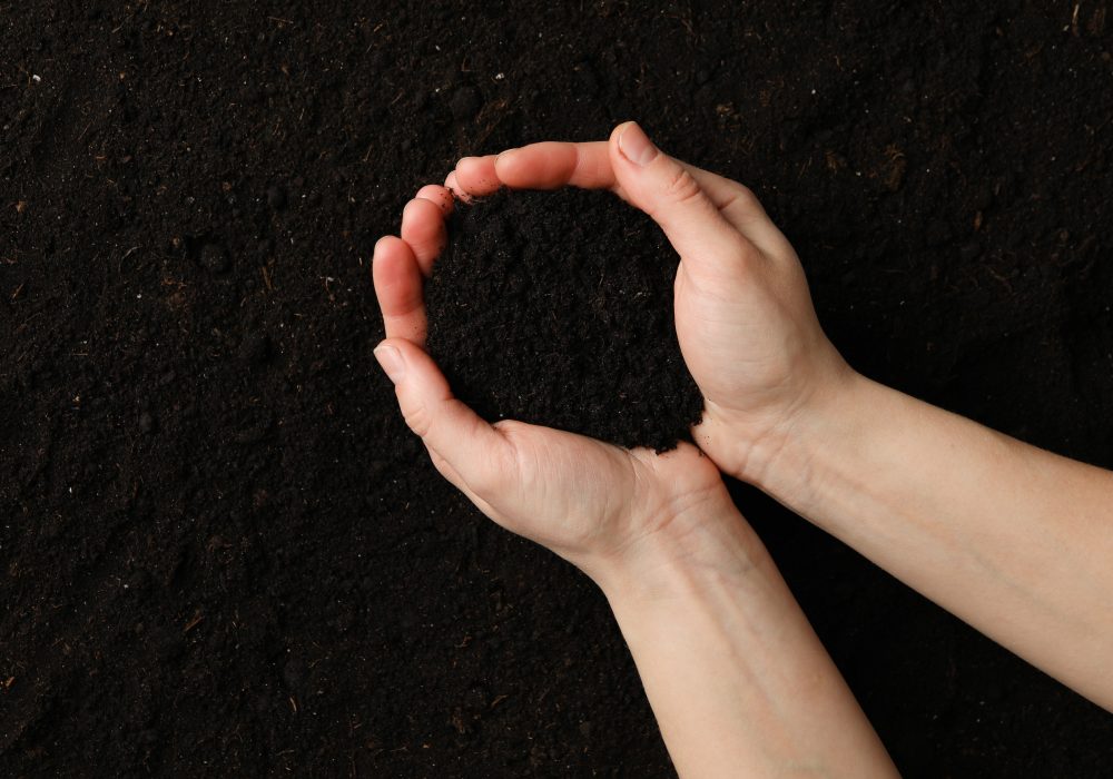 Woman hold soil on soil background, top view